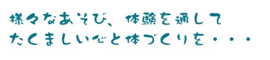 様々な遊び、体験を通してたくましい体と心づくりを