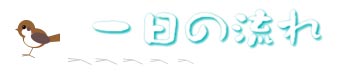 一日の流れ